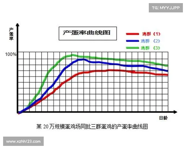冻伤机制深度解析其对魔兽世界战斗策略的五大关键性影响 冻伤机制深度解析其对魔兽世界战斗策略的五大关键性影响