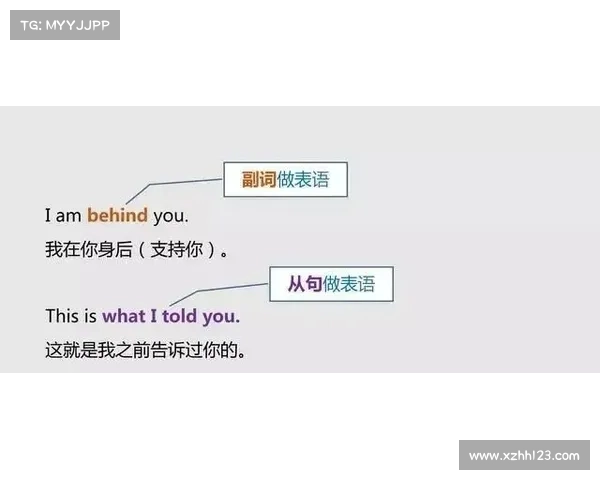 为何纳英戈兰未能获得广泛使用背后的原因分析与思考